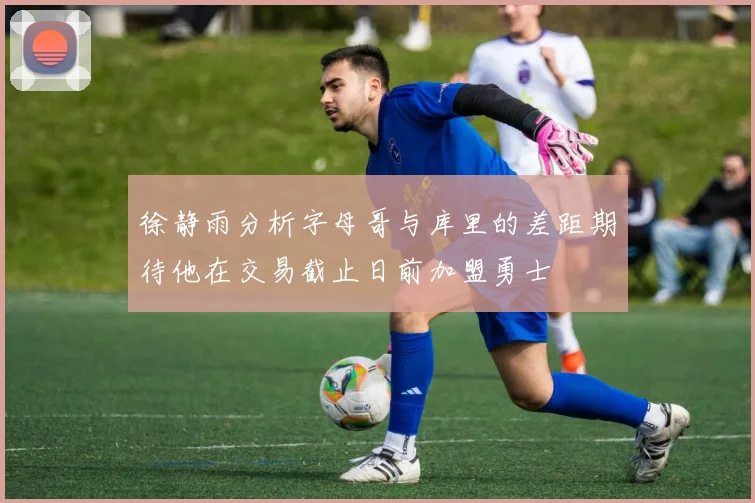 徐静雨分析字母哥与库里的差距期待他在交易截止日前加盟勇士
